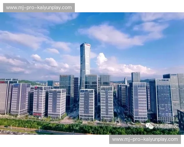 开云强力加速，让您的网络速度飞跃新高